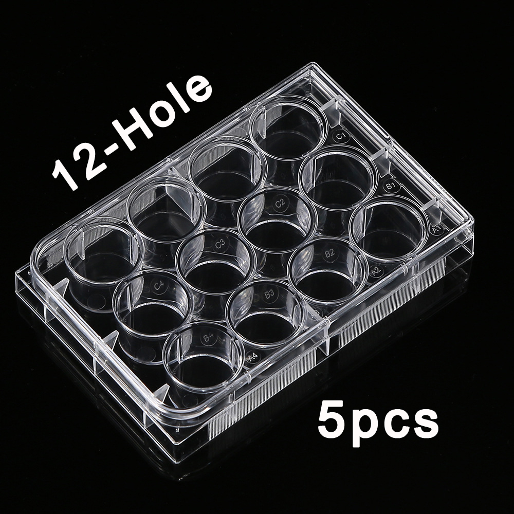 5Pcs Polystyrene 12 Well Petri – Medical Lab Supplies Bewertung und Preis