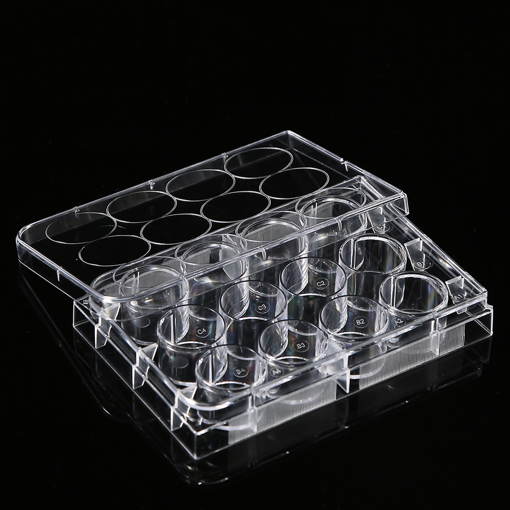 5Pcs Polystyrene 12 Well Petri – Medical Lab Supplies Bewertung und Preis