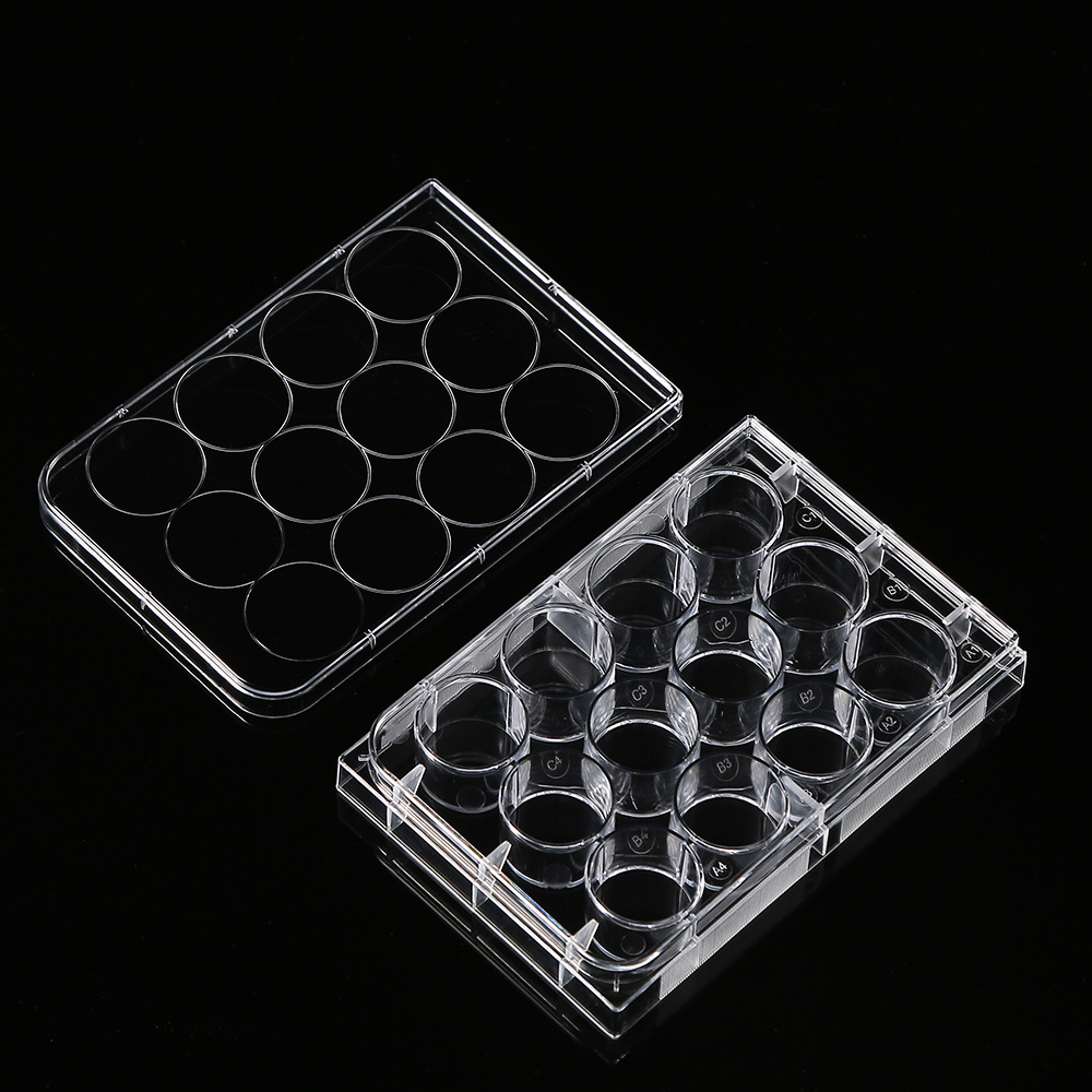 5Pcs Polystyrene 12 Well Petri – Medical Lab Supplies Bewertung und Preis